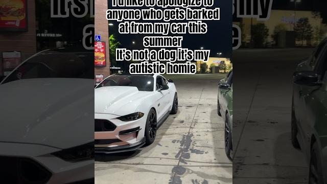 #mustang #ford #fordmustang #dodge #dodgecharger #392 #mopar #srt #bros #brother #summer #fun #mustang #ford #fordmustang #dodge #dodgecharger #392 #mopar #srt #bros #brother #summer #fun