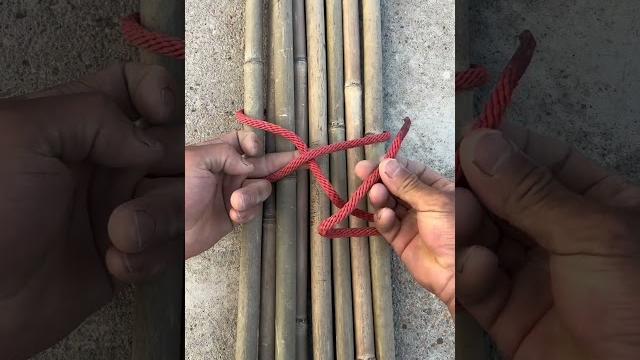 捆绑结的打法#实用小技巧 #生活小妙招 捆绑结的打法#实用小技巧 #生活小妙招