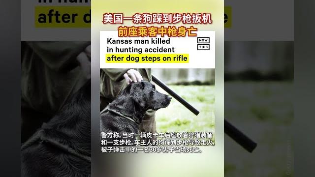 美国狗踩扳机射杀一男子 美国狗踩扳机射杀一男子