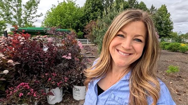 5 beautiful red-foliage shrubs for sun + planting shade containers! ️️ // garden answer 5 beautiful red-foliage shrubs for sun + planting shade containers! ️️ // garden answer