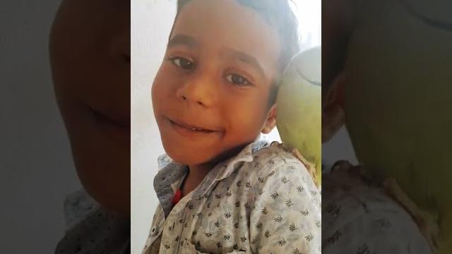 Pattu parat with nishwa Pattu parat with nishwa