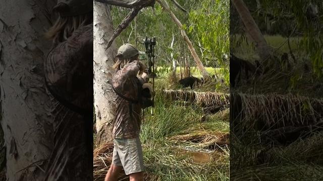Засада в уотерленде! огромный кабан застрелен из лука" #охота #archery #bowhunting #hunting Засада в уотерленде! огромный кабан застрелен из лука" #охота #archery #bowhunting #hunting
