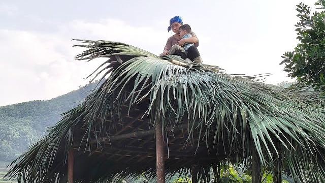 "single mother built a house with a palm leaf roof." "single mother built a house with a palm leaf roof."