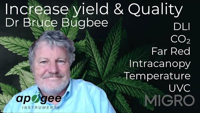 How to increase yield and quality with dr bruce bugbee How to increase yield and quality with dr bruce bugbee