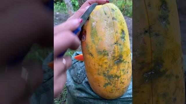 Unboking papaya california #pepaya Unboking papaya california #pepaya