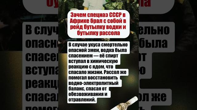 Тайна советского спецназа: водка и рассол в африканском аду #россия #интересныефакты #вов #история Тайна советского спецназа: водка и рассол в африканском аду #россия #интересныефакты #вов #история