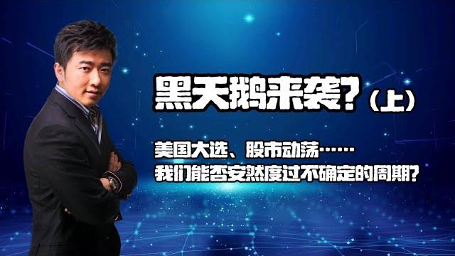 芮成钢:黑天鹅来袭?(上) 芮成钢:黑天鹅来袭?(上)
