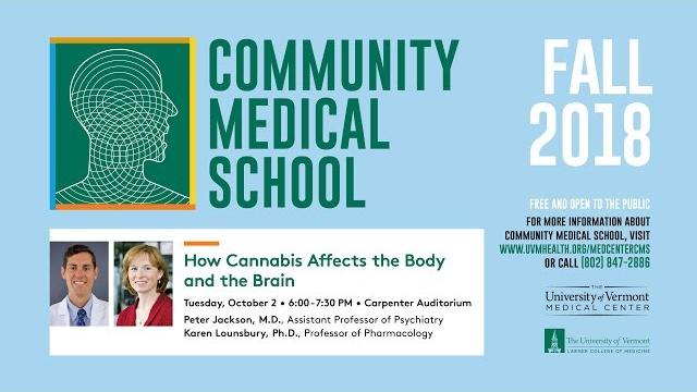 How cannabis affects the body and the brain How cannabis affects the body and the brain
