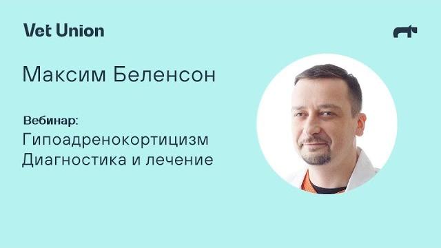 Гипоадренокортицизм: диагностика и лечение Гипоадренокортицизм: диагностика и лечение
