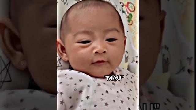 Sautannya moana bisa pas gitu Sautannya moana bisa pas gitu