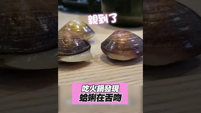 下鍋前的難分難捨! 蛤蜊伸舌頭互打還親親 #shorts 下鍋前的難分難捨! 蛤蜊伸舌頭互打還親親 #shorts