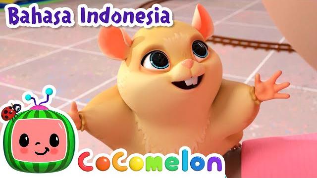 Lagu peliharaan kelas | cocomelon bahasa indonesia - lagu anak anak Lagu peliharaan kelas | cocomelon bahasa indonesia - lagu anak anak