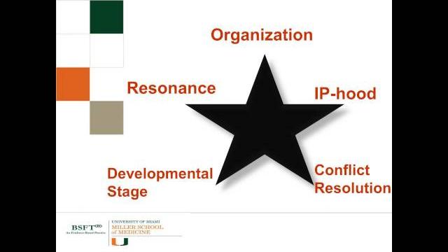 Webinar: brief strategic family therapy (bsft) Webinar: brief strategic family therapy (bsft)