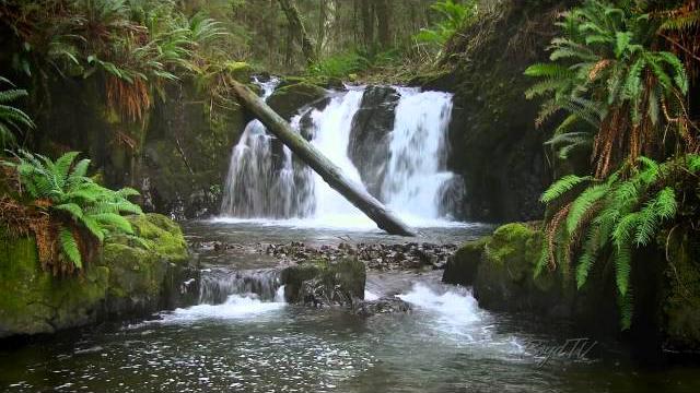 The forest waterfall hd - the calming sound of water The forest waterfall hd - the calming sound of water