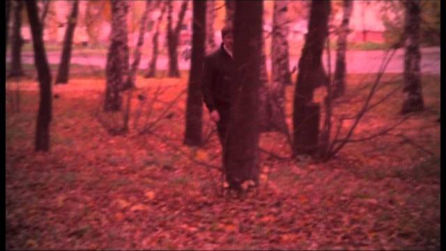 Тахир асыл гэрэй алтын козлэр Тахир асыл гэрэй алтын козлэр
