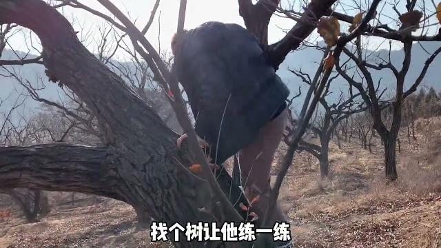 带弟弟上山掏鸟洞!结果还真掏到一个鸟蛋,拿回家能敷出小鸟吗? 带弟弟上山掏鸟洞!结果还真掏到一个鸟蛋,拿回家能敷出小鸟吗?