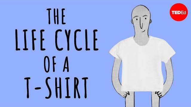 The life cycle of a t-shirt - angel chang The life cycle of a t-shirt - angel chang