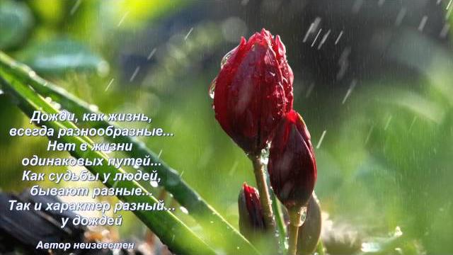Музыка дождя! крис сфирис Музыка дождя! крис сфирис