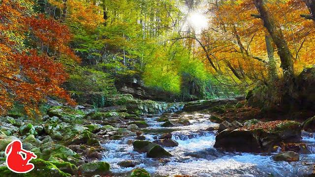 Native american flute & nature sounds for emotional healing | reduce anxiety & relieve stress Native american flute & nature sounds for emotional healing | reduce anxiety & relieve stress