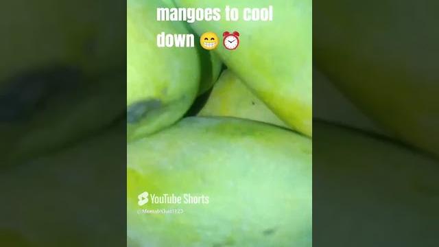Mangoes #for you #youtube #yummy #vira Mangoes #for you #youtube #yummy #vira