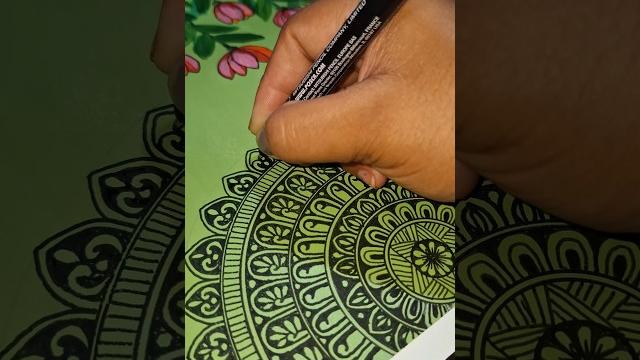 Creating a tulipmandala art #shorts #viralvideo #acrylicpainting #tuli #art #mandala #satisfying Creating a tulipmandala art #shorts #viralvideo #acrylicpainting #tuli #art #mandala #satisfying