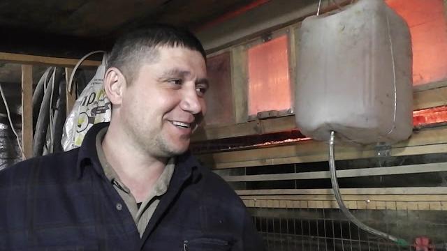 Купили бройлеров изахаббарт f15. Купили бройлеров изахаббарт f15.