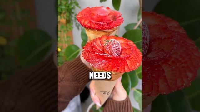 Every country needs these japanese inventions! Every country needs these japanese inventions!