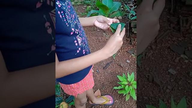 Jackfruit leaf spoon #shorts Jackfruit leaf spoon #shorts
