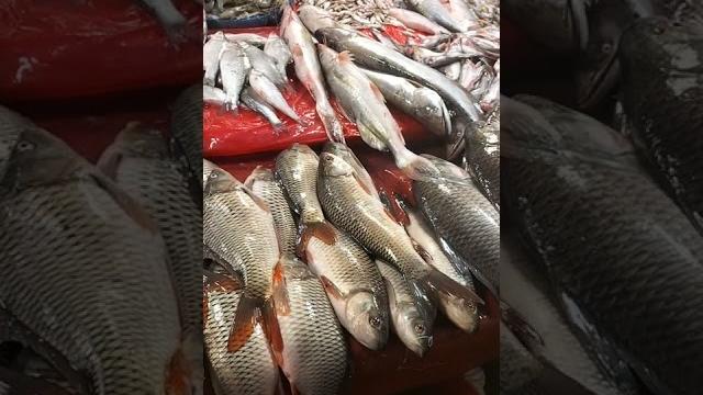 Fish market in bangladesh Fish market in bangladesh