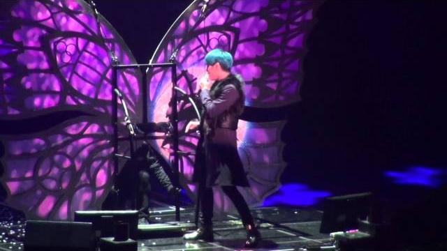 150308 xia 나비 (butterfly) 150308 xia 나비 (butterfly)
