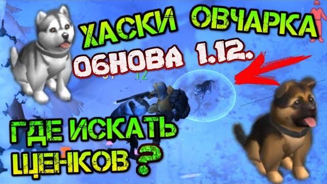 Нашел хаски и овчарку! где искать редких щенков после обновы 1.12 last day on earth: survival Нашел хаски и овчарку! где искать редких щенков после обновы 1.12 last day on earth: survival