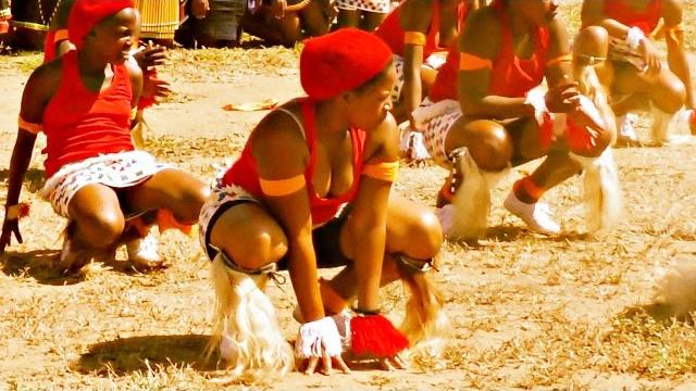 Indlamu kwazulu natal best zulu dance (must watch) Indlamu kwazulu natal best zulu dance (must watch)