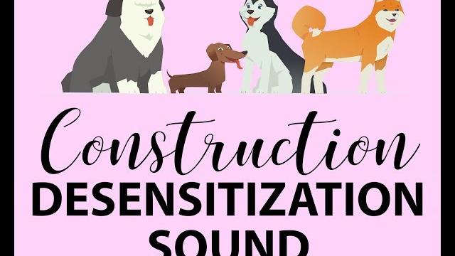 Dog desensitization puppy socialization construction noise and sound Dog desensitization puppy socialization construction noise and sound