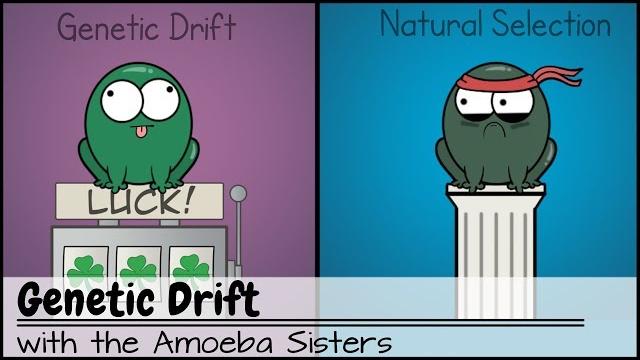 Genetic drift Genetic drift