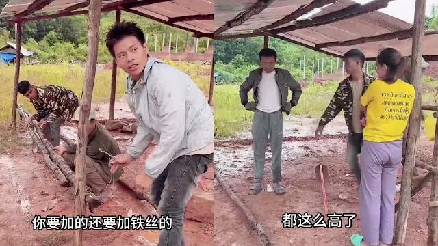 小陈的老挝媳妇儿 三兄弟齐上场 给工棚帮木桩 不怕大雨侵袭 小陈的老挝媳妇儿 三兄弟齐上场 给工棚帮木桩 不怕大雨侵袭