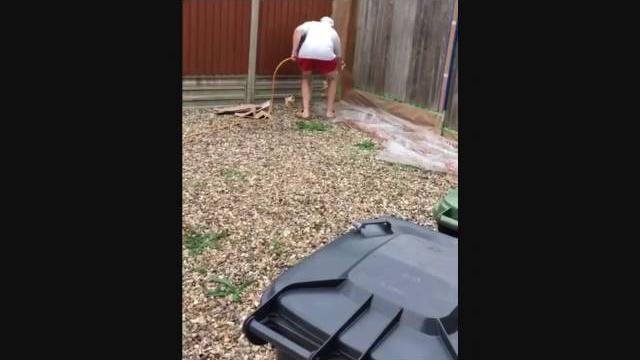 Fence spraying with wagner project pro 117 Fence spraying with wagner project pro 117