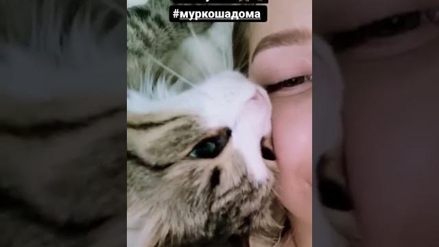 Лайм дома Лайм дома