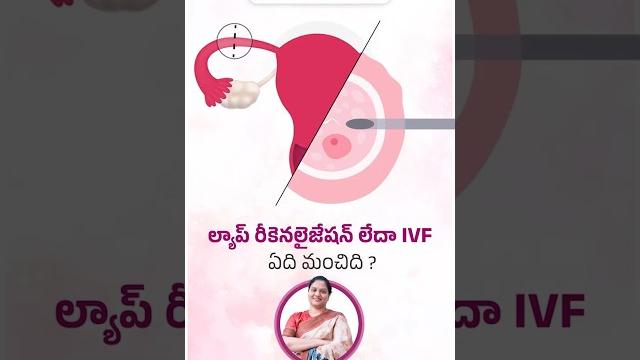Laparoscopic recanalization vs. ivf – which is better? | dr.sindhu kosaraju | sasya fertility centre Laparoscopic recanalization vs. ivf – which is better? | dr.sindhu kosaraju | sasya fertility centre