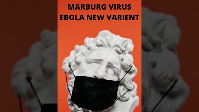 Marburg virus #shorts Marburg virus #shorts