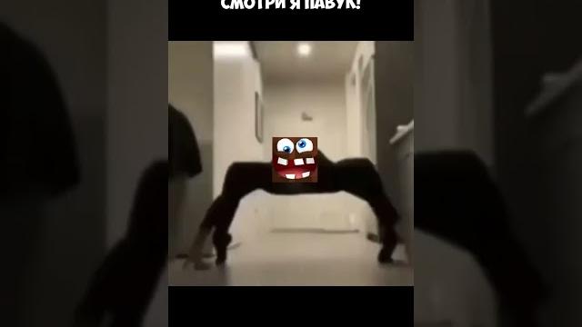 Лёня стал *безумным* пауком в майнкрафт ! владус Лёня стал *безумным* пауком в майнкрафт ! владус