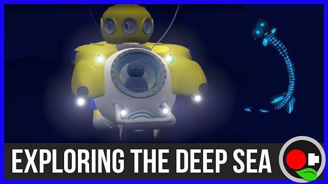 The deep sea - exploring the zones The deep sea - exploring the zones