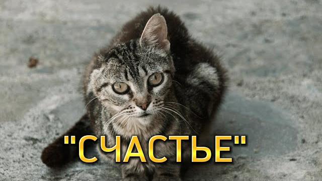 Очень трогательное видео до слёз "он шел по улице и тихо плакал" ("счастье") ольга николаева Очень трогательное видео до слёз "он шел по улице и тихо плакал" ("счастье") ольга николаева
