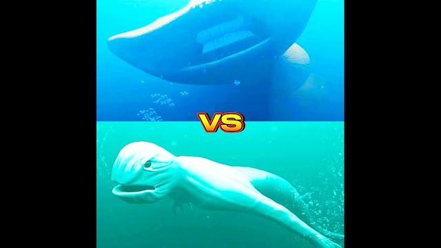 El gran maja vs ningen,worm, blue whale,hippocampus #shorts #viral #monster #music #the El gran maja vs ningen,worm, blue whale,hippocampus #shorts #viral #monster #music #the