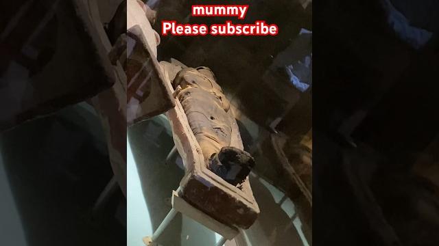 Lucknow zoo museum me rakhi hai jinda mummy // #lucknow #zoo #lucknowzoo #youtubeshorts #trending Lucknow zoo museum me rakhi hai jinda mummy // #lucknow #zoo #lucknowzoo #youtubeshorts #trending