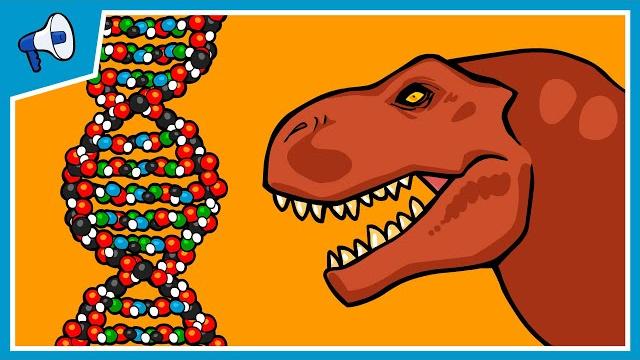 What is dna and how does it work? What is dna and how does it work?