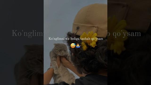Behayo #video Behayo #video
