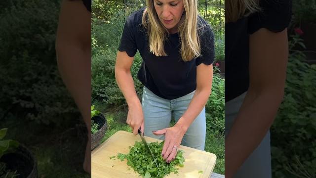 Make these basil and olive oil ice cubes to enjoy fresh herbs all year round#garden #herbs #basil Make these basil and olive oil ice cubes to enjoy fresh herbs all year round#garden #herbs #basil