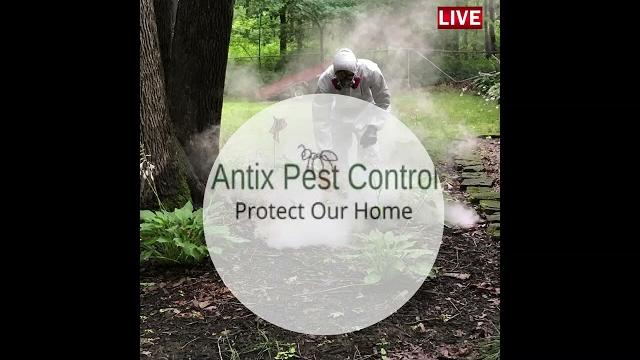 Antix pest control Antix pest control