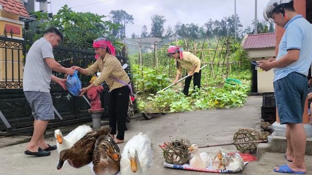 Single mother after selling ducks, weeding vegetable garden on farm, new life gradually begins Single mother after selling ducks, weeding vegetable garden on farm, new life gradually begins