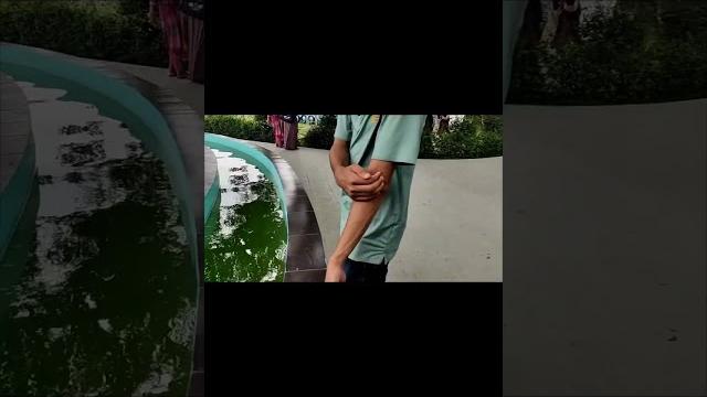 The grand dadubari park and resort #song #love #newsong #dance #aajsajeya #streetdancer3 #dadu #kunb The grand dadubari park and resort #song #love #newsong #dance #aajsajeya #streetdancer3 #dadu #kunb